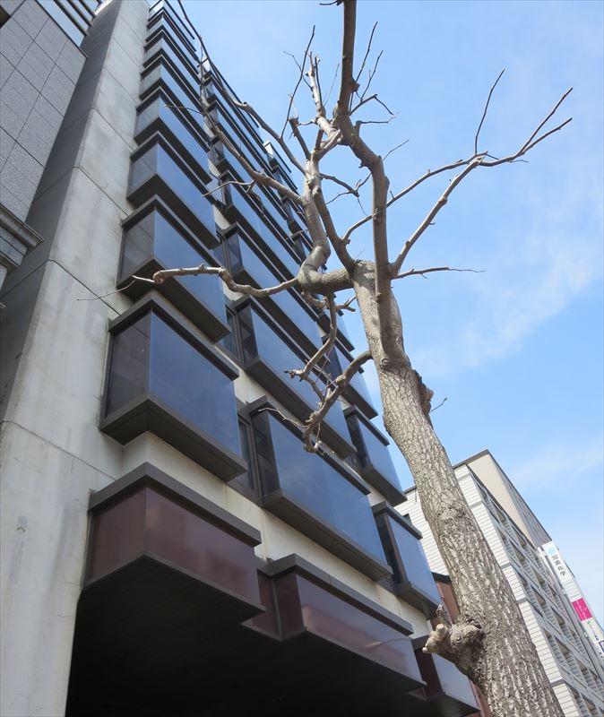 京都市中京区にあるショールームの貸店舗 メイン画像